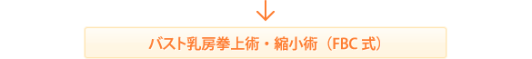 バスト乳房拳上術・縮小術（FBC式）